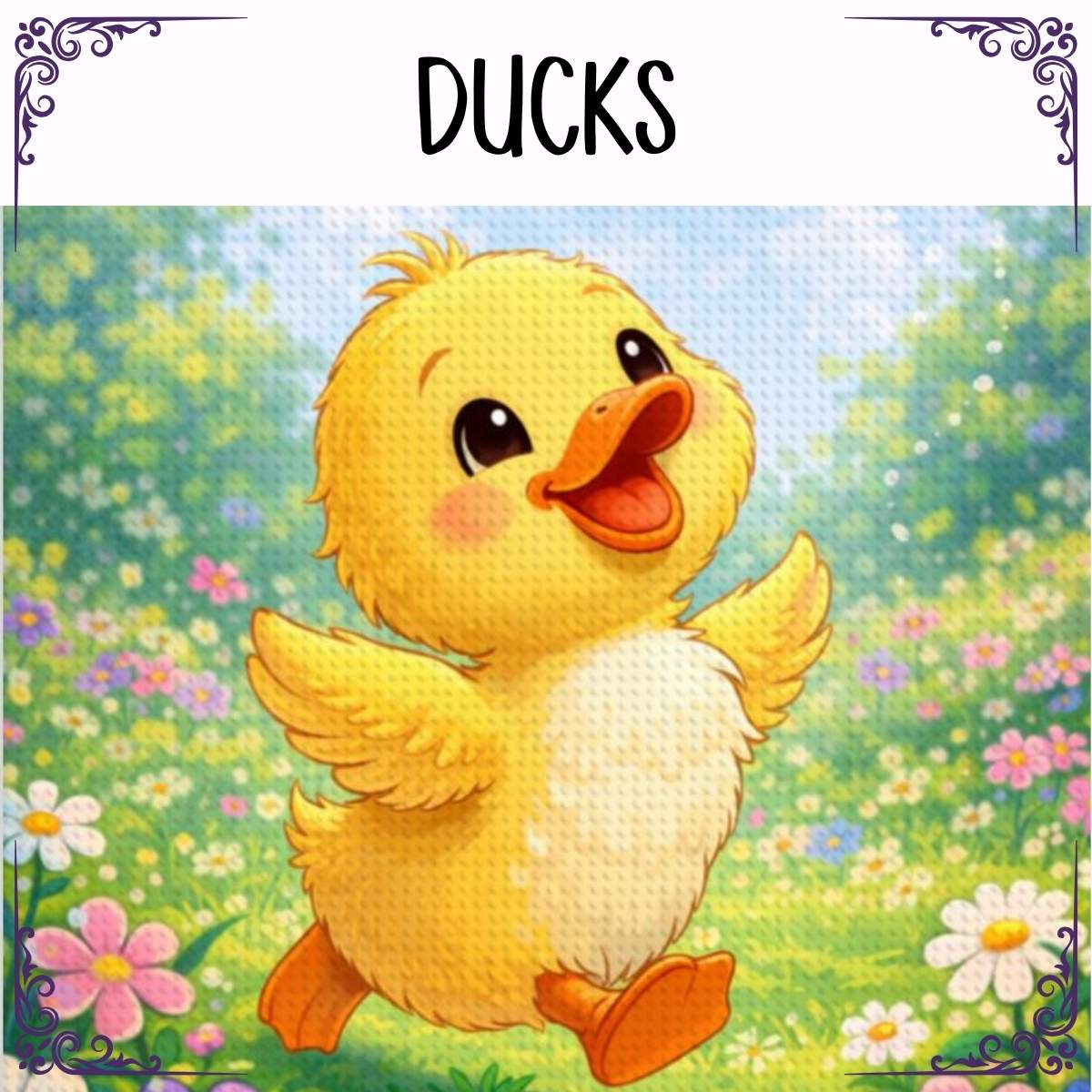 Ducks