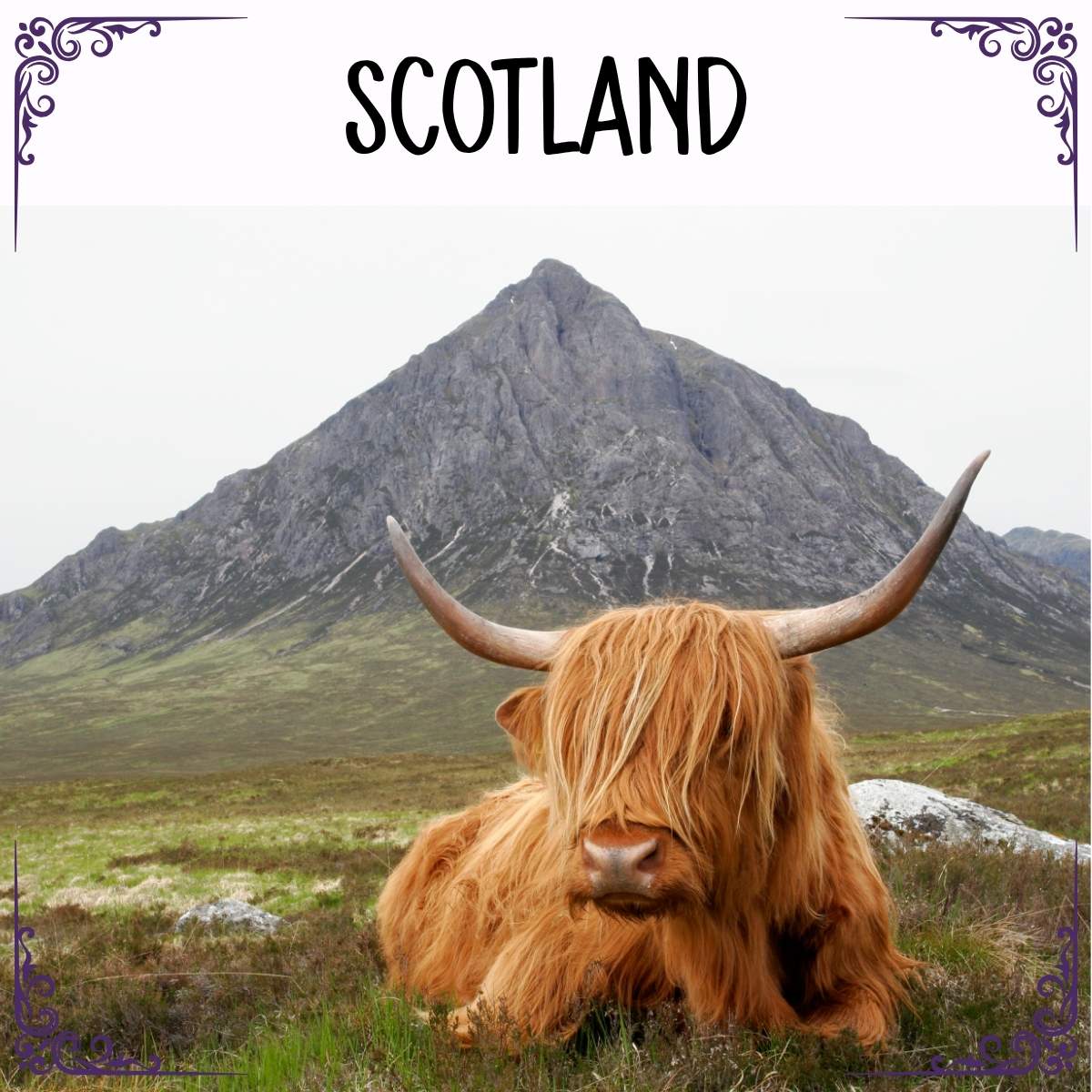 Scotland